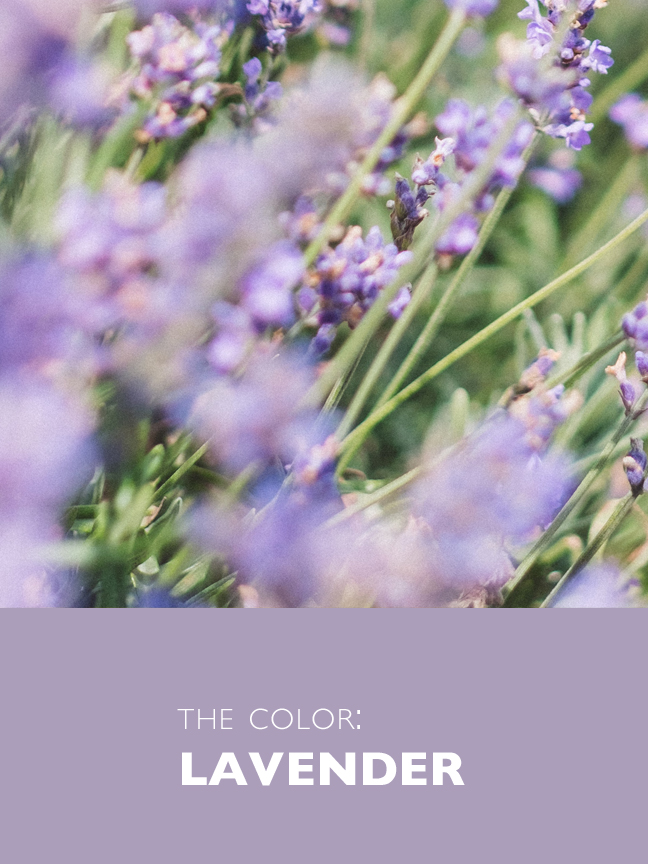 Lavender color inspiration for life and style