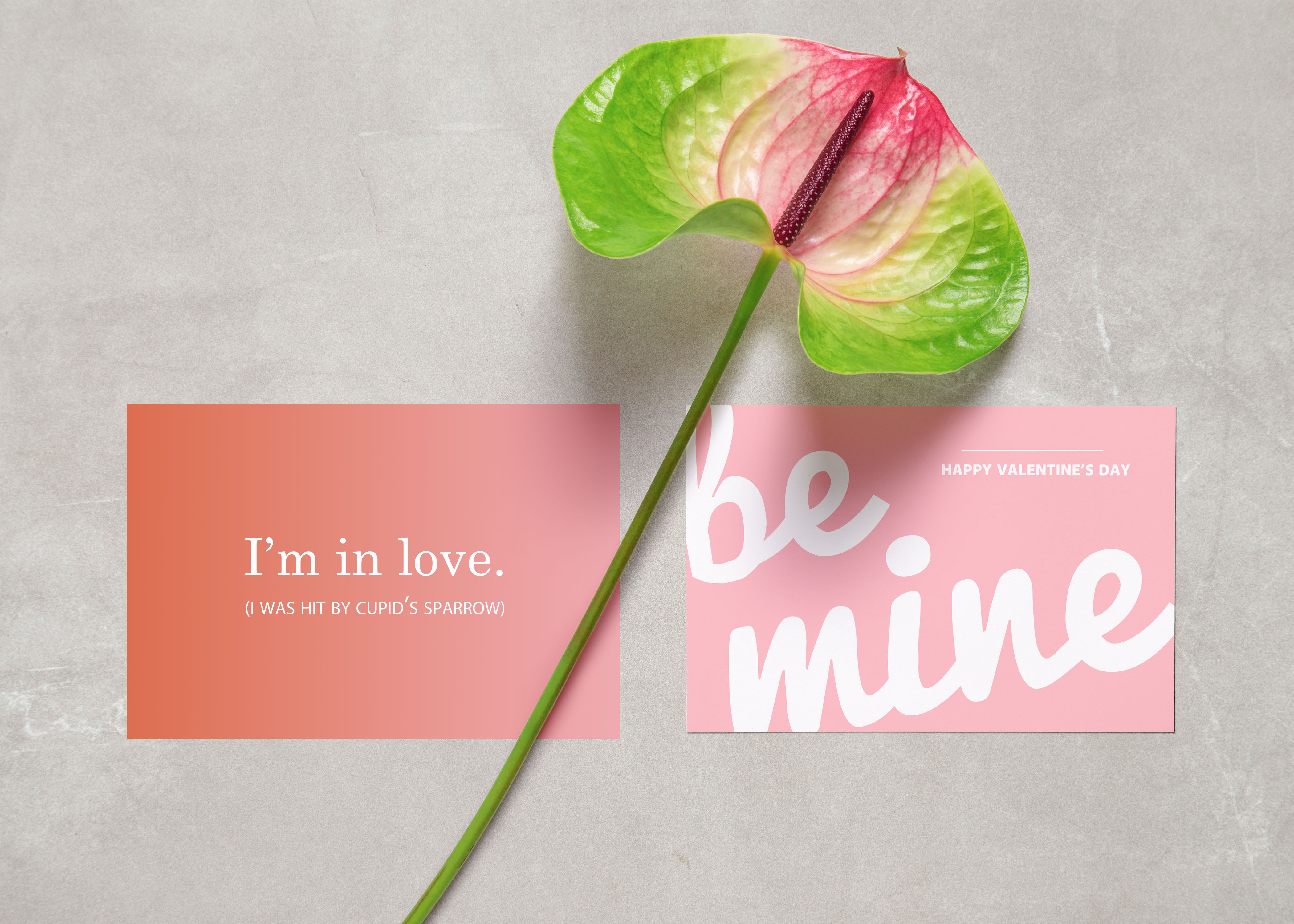 Valentine's Day Cards | Simply KK