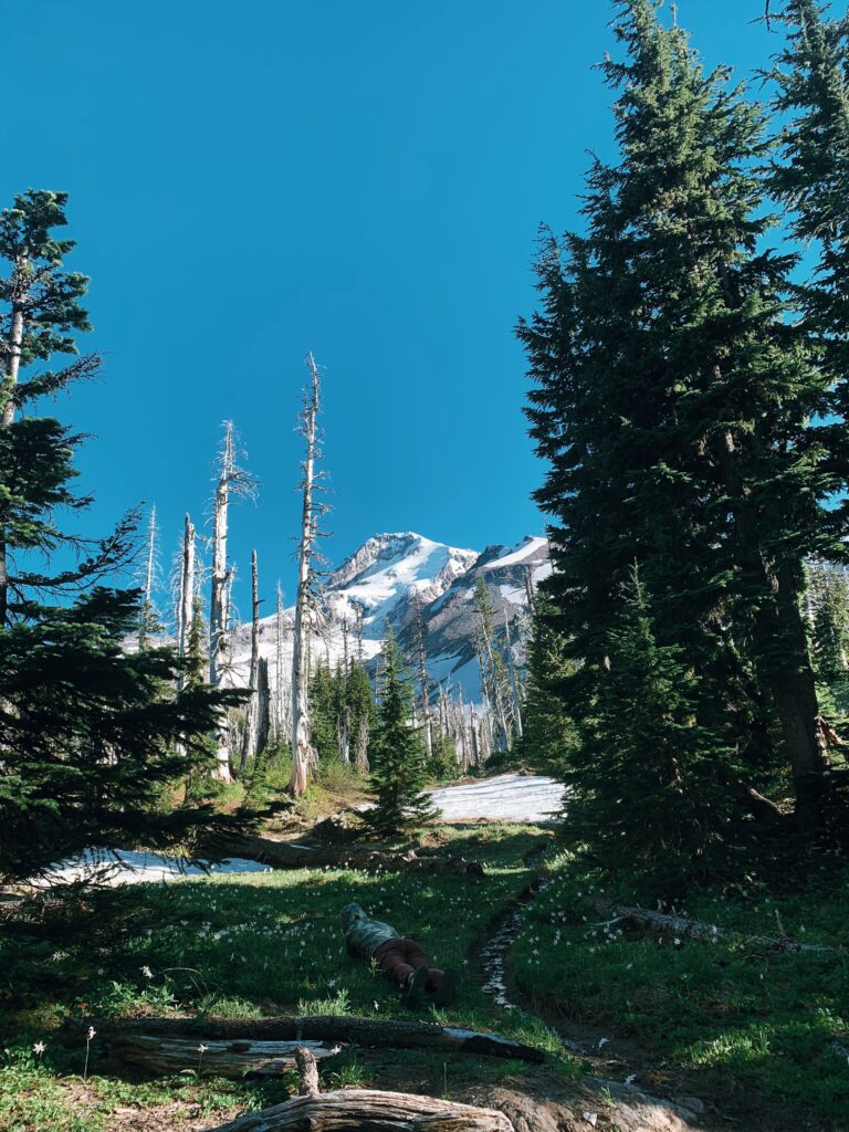 Mt Hood late afternoon Timberline Trail