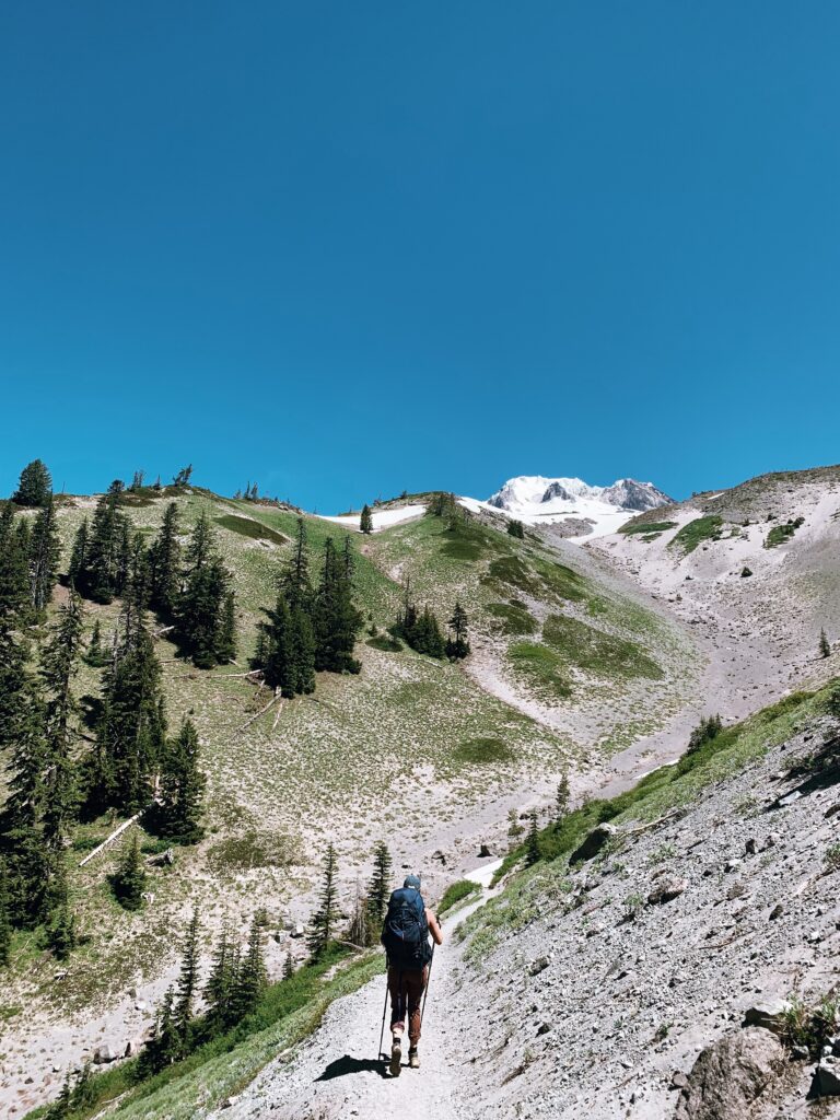 Timberline Trail walking Mt Hood