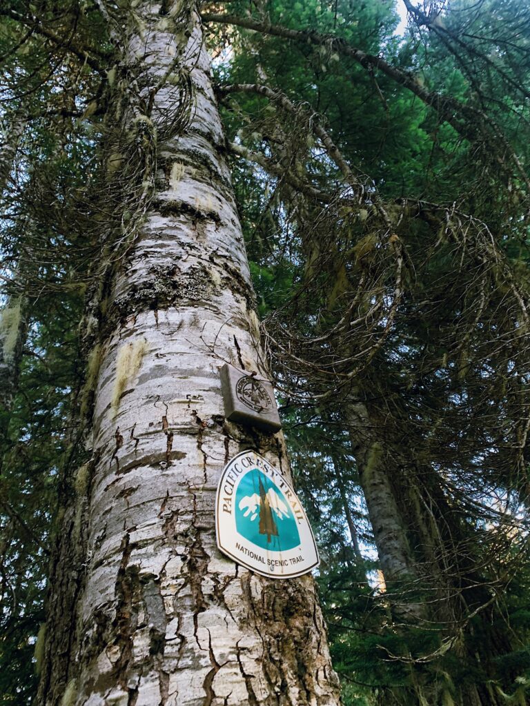 Pacific Crest Trail Blaze in WA