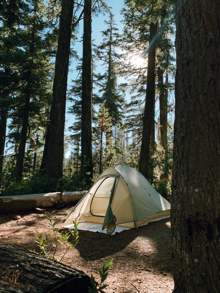 Small tent in the woods on a sunny evening