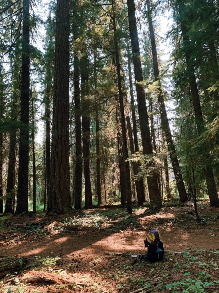 Gossamer Gear backpack in the afternoon light while hiking from Santiam Pass to Timberline Lodge