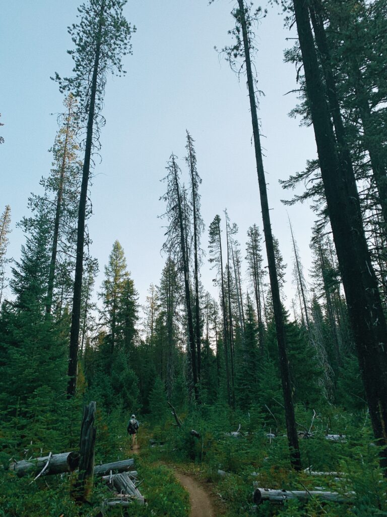 Hiking from Santiam Pass to Timberline Lodge