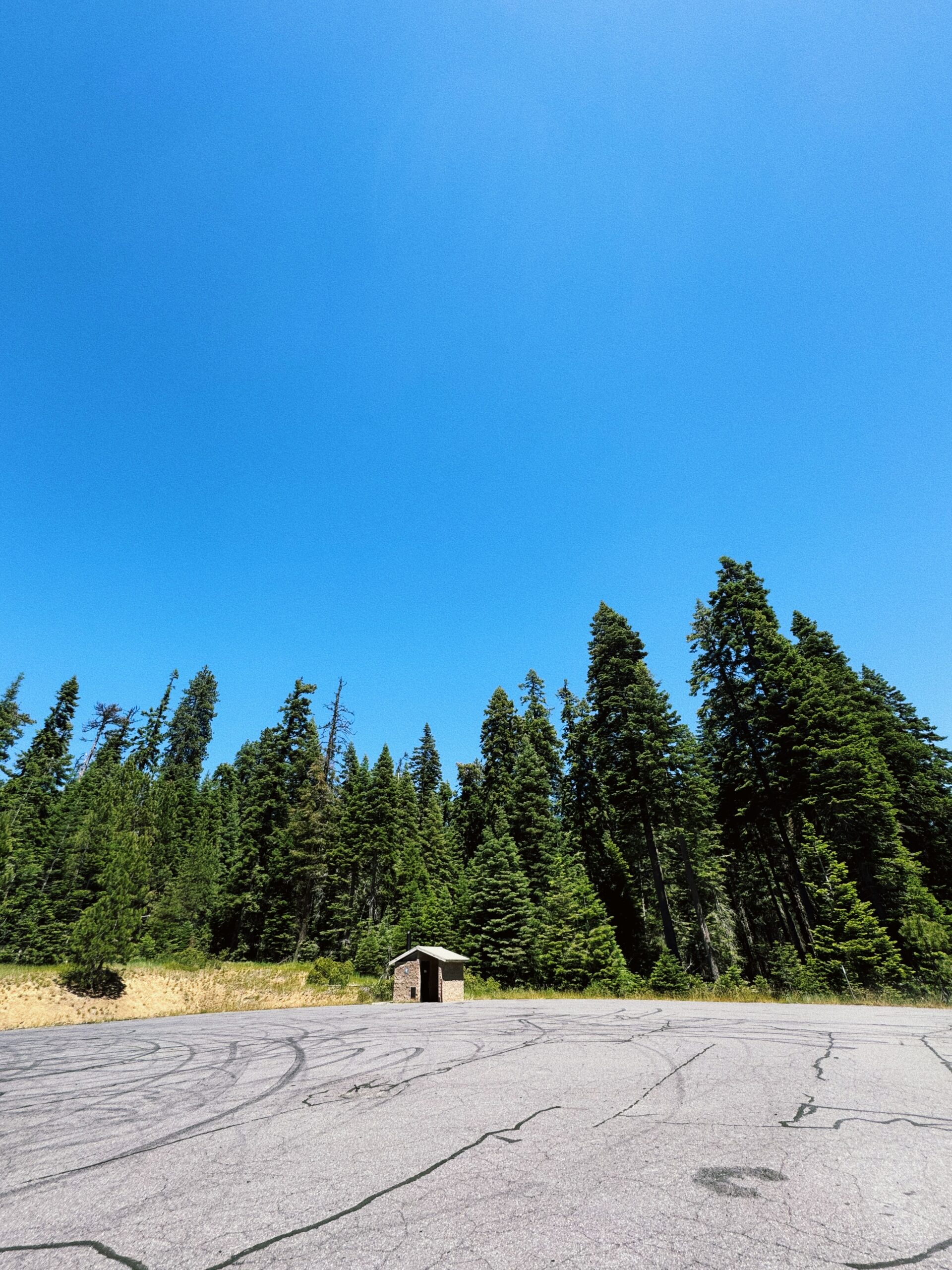 8 PCT Miles in Southern Oregon